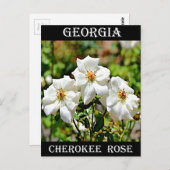 Carte Postale Géorgie Cherokee Rose 2 (Devant / Derrière)