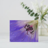 Carte postale Geranium (Debout devant)