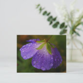 Carte postale Geranium (Debout devant)