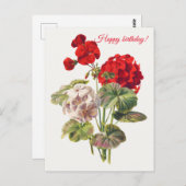 Carte Postale Géranium (Devant / Derrière)