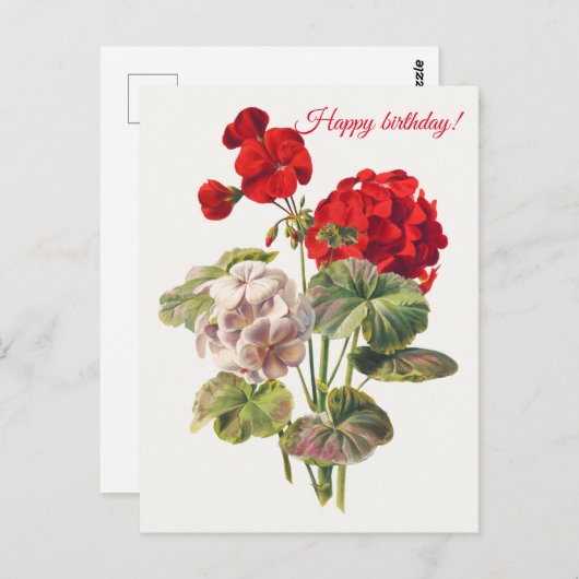 Carte Postale Géranium (Devant / Derrière)