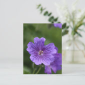 Carte Postale Géranium bleu (Debout devant)