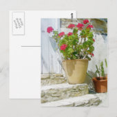Carte Postale Géranium de couleur rouge (Devant / Derrière)