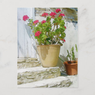Carte Postale Géranium de couleur rouge