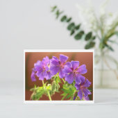 Carte postale Geranium Flower (Debout devant)