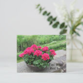 Carte Postale Géranium - Sentez-vous mieux bientôt (Debout devant)