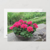 Carte Postale Géranium - Sentez-vous mieux bientôt (Devant / Derrière)