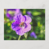 Carte Postale Geranium violet avec abeille à miel (Devant)