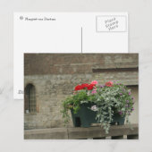 Carte Postale Geraniums (Devant / Derrière)