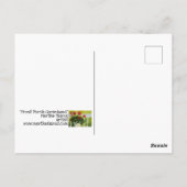 Carte Postale Geraniums avant (Dos)