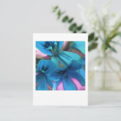 Carte Postale Géraniums bleus (Debout devant)