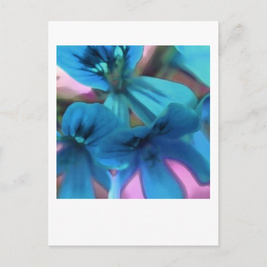 Carte Postale Géraniums bleus (Devant)