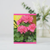 Carte Postale "Géraniums roses en pot" Notes et timbres (Debout devant)