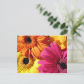 Carte Postale gerber-4 (Debout devant)