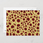 Carte Postale Gerber Daisies (Devant / Derrière)