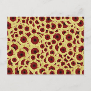 Carte Postale Gerber Daisies