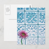 Carte Postale Gerber Daisy (Devant / Derrière)