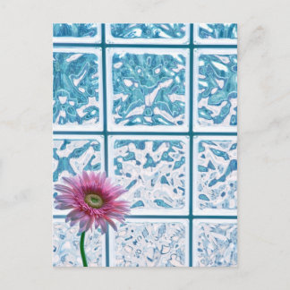 Carte Postale Gerber Daisy