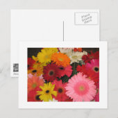 Carte Postale Gerbera (Devant / Derrière)