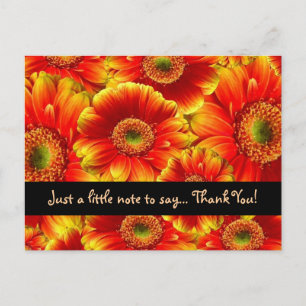 Carte Postale Gerbera Daisies Merci
