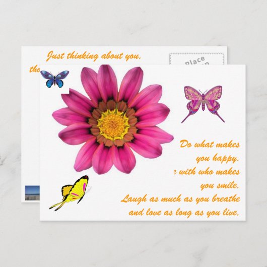 Carte Postale Gerbera Daisy (Devant / Derrière)