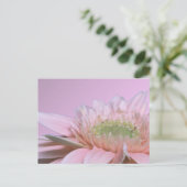 Carte Postale Gerbera Daisy (Debout devant)