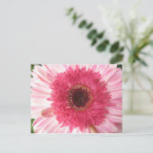 Carte postale Gerbera Daisy (Debout devant)