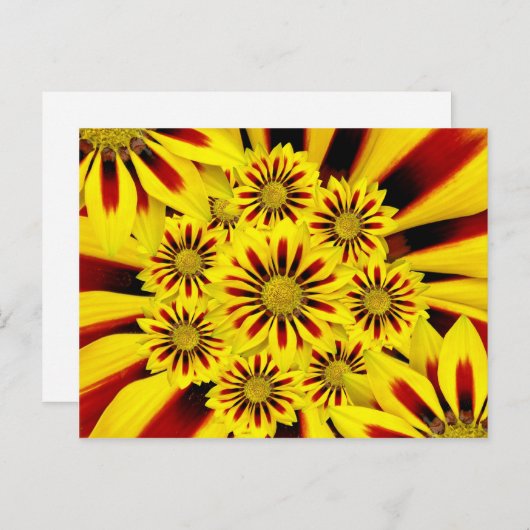 Carte Postale Gerbera Daisy, à rayures jaune et rouge (Devant / Derrière)