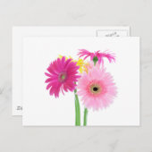 Carte Postale Gerbera Daisy Flowers (Devant / Derrière)