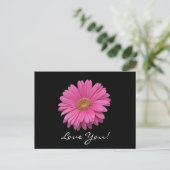 Carte Postale Gerbera Daisy Love You Postcard (Debout devant)
