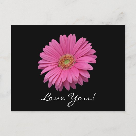 Carte Postale Gerbera Daisy Love You Postcard (Devant)