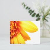 Carte Postale Gerbera dorée (Debout devant)