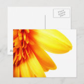 Carte Postale Gerbera dorée (Devant / Derrière)