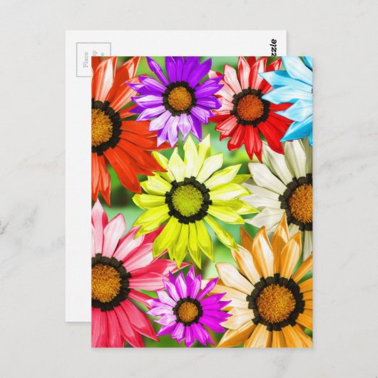 Carte Postale Gerbera fleurs colorées (Devant / Derrière)