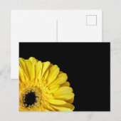 Carte Postale Gerbera Flower (Devant / Derrière)