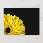 Carte Postale Gerbera Flower (Devant)