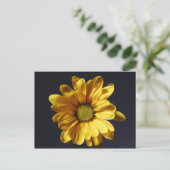 Carte Postale Gerbera Jaune (Debout devant)