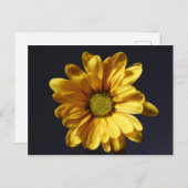 Carte Postale Gerbera Jaune (Devant / Derrière)