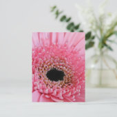 Carte Postale Gerbera marguerite (Debout devant)