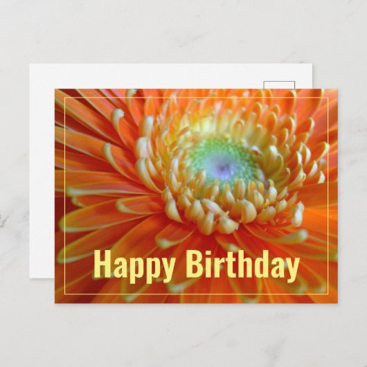 Carte Postale Gerbéra Orange Joyeux Anniversaire (Devant / Derrière)