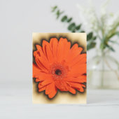 Carte Postale Gerbera profonde (Debout devant)
