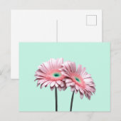 Carte Postale Gerbera Rose Daisies (Devant / Derrière)