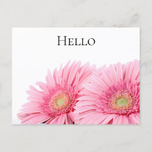 Carte Postale Gerbera Rose Daisies Élégante Photographie