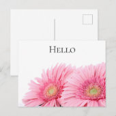 Carte Postale Gerbera Rose Daisies Élégante Photographie (Devant / Derrière)
