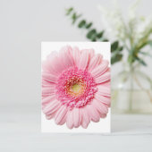 Carte Postale Gerbera Rose Daisy (Debout devant)