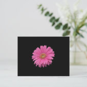 Carte Postale Gerbera Rose Daisy (Debout devant)