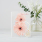 Carte Postale Gerbera rose Enregistrer l'annonce de la date (Debout devant)