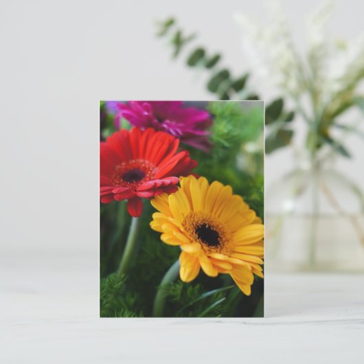 Carte postale Gerberas (Debout devant)