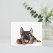 Carte Postale germain chiot (Debout devant)