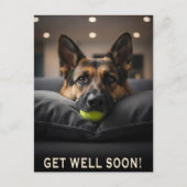 Carte Postale German Shepherd Get Well Postcard (Devant)
